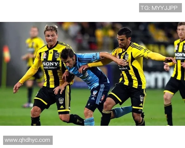 惠灵顿凤凰对阵悉尼FC赛事分析及战术解析全面解读